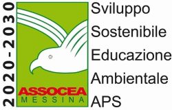 Assocea
